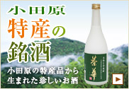 小田原特産の銘酒 小田原の特産品から生まれた珍しいお酒